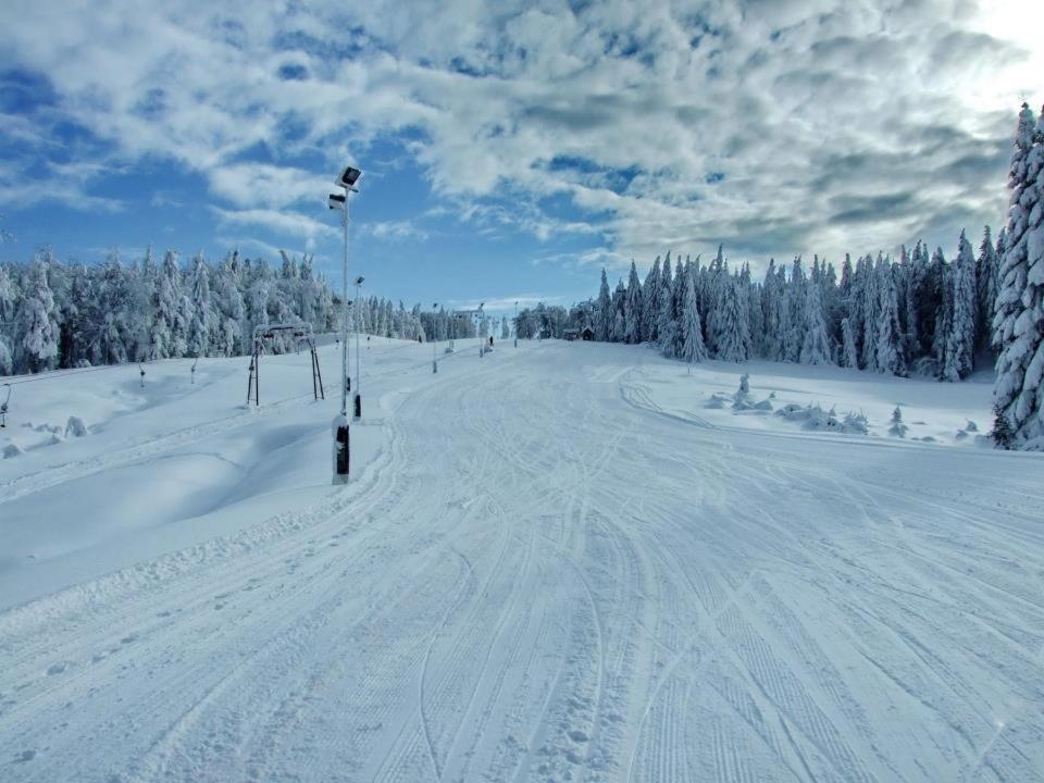 Hotel Superski Cavnic Εξωτερικό φωτογραφία