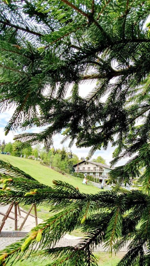 Hotel Superski Cavnic Εξωτερικό φωτογραφία